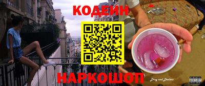 гашик Кингисепп