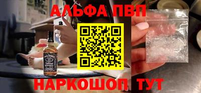 гашик Кингисепп