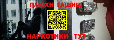 гашик Кингисепп